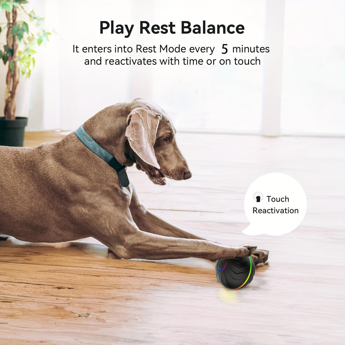 Interactive Smart Dog Ball Toy – Rechargeable Rolling LED Dog Toy for Dogs